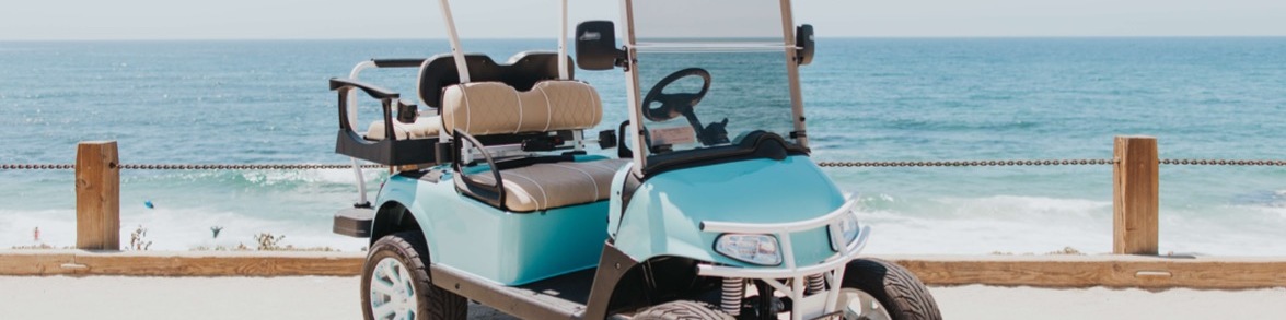 Read more about the article THE BEACHCOMBER