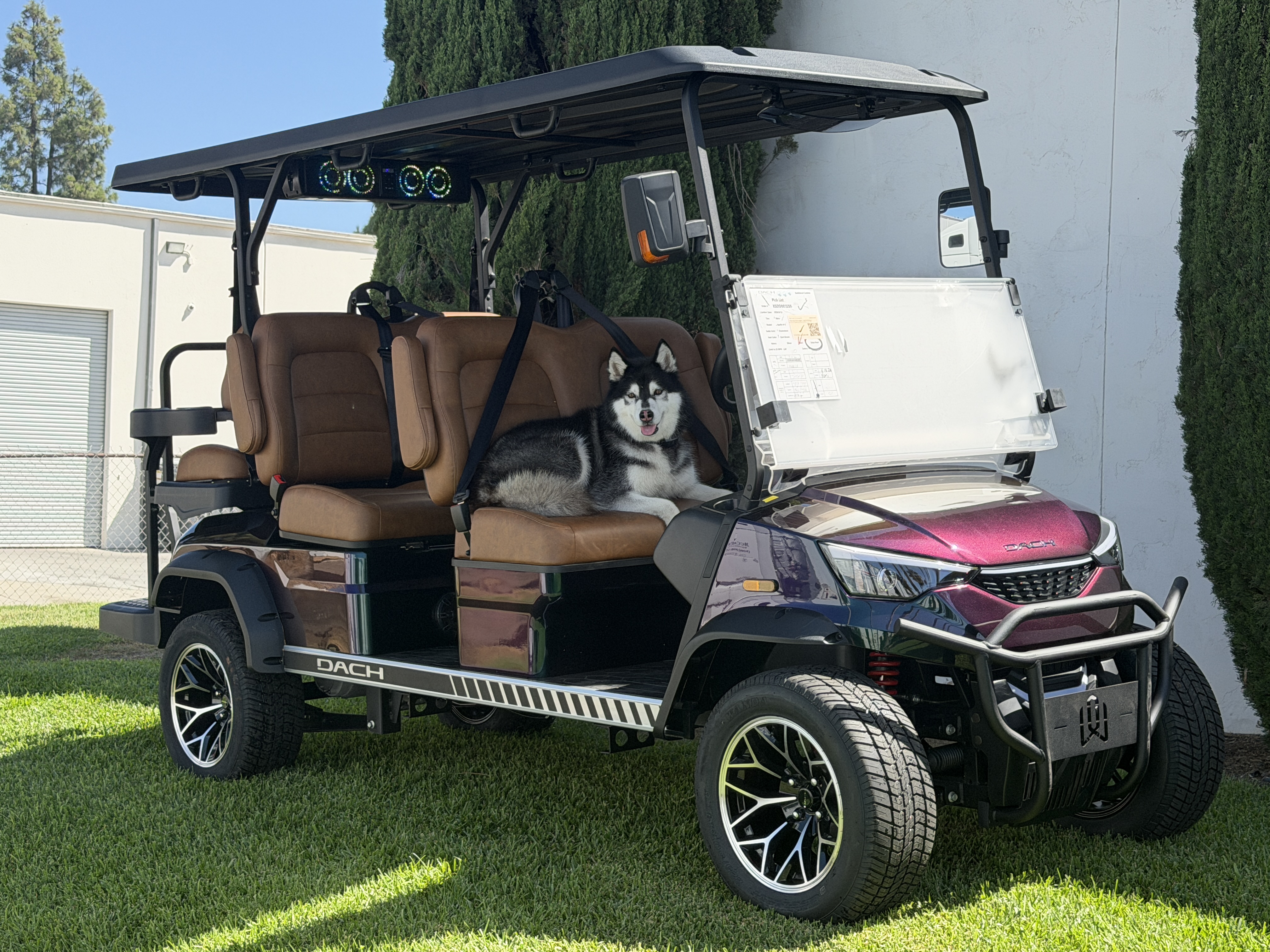2026 Dach Apollo 4+2 STREET LEGAL