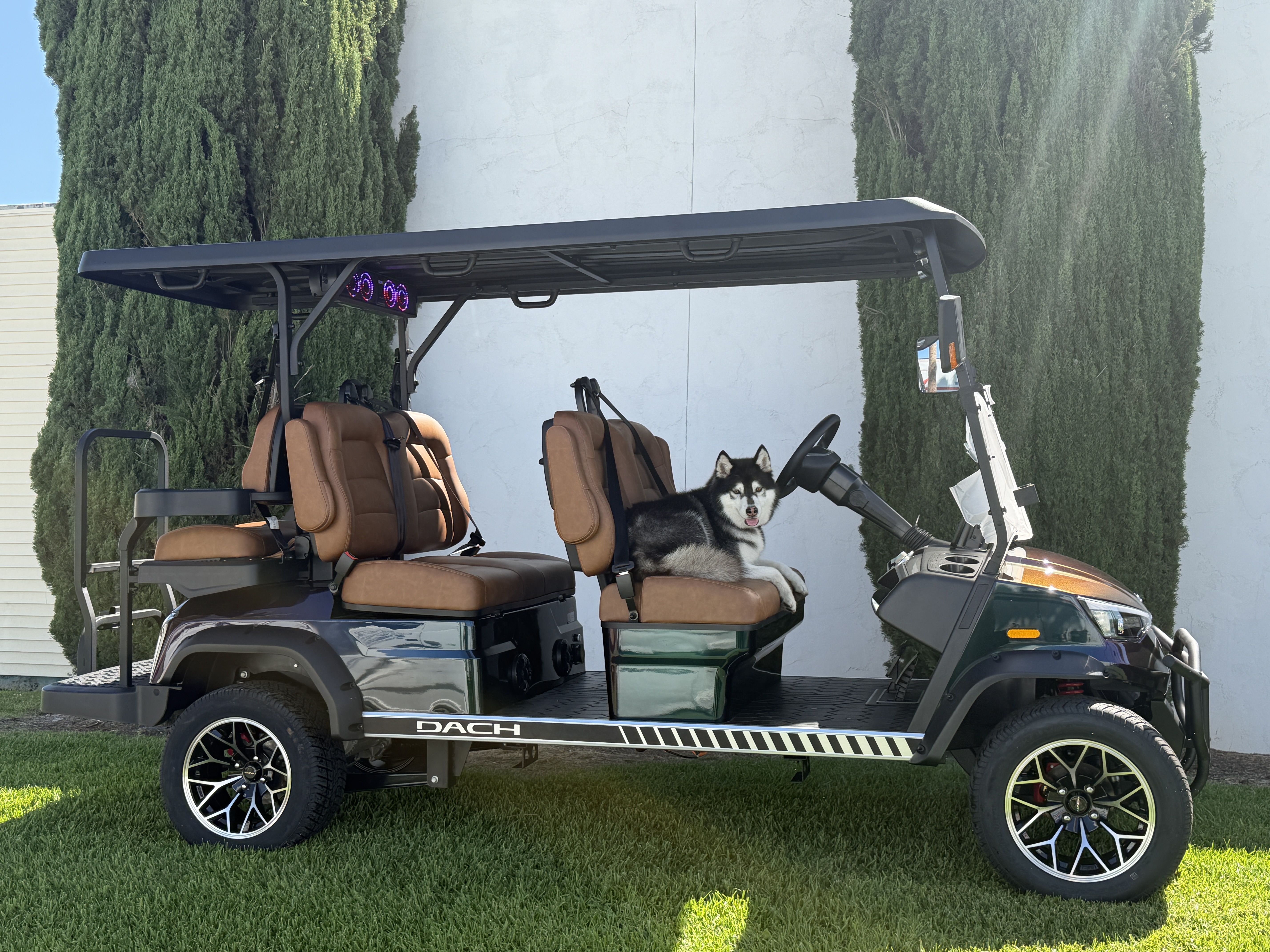 2026 Dach Apollo 4+2 STREET LEGAL