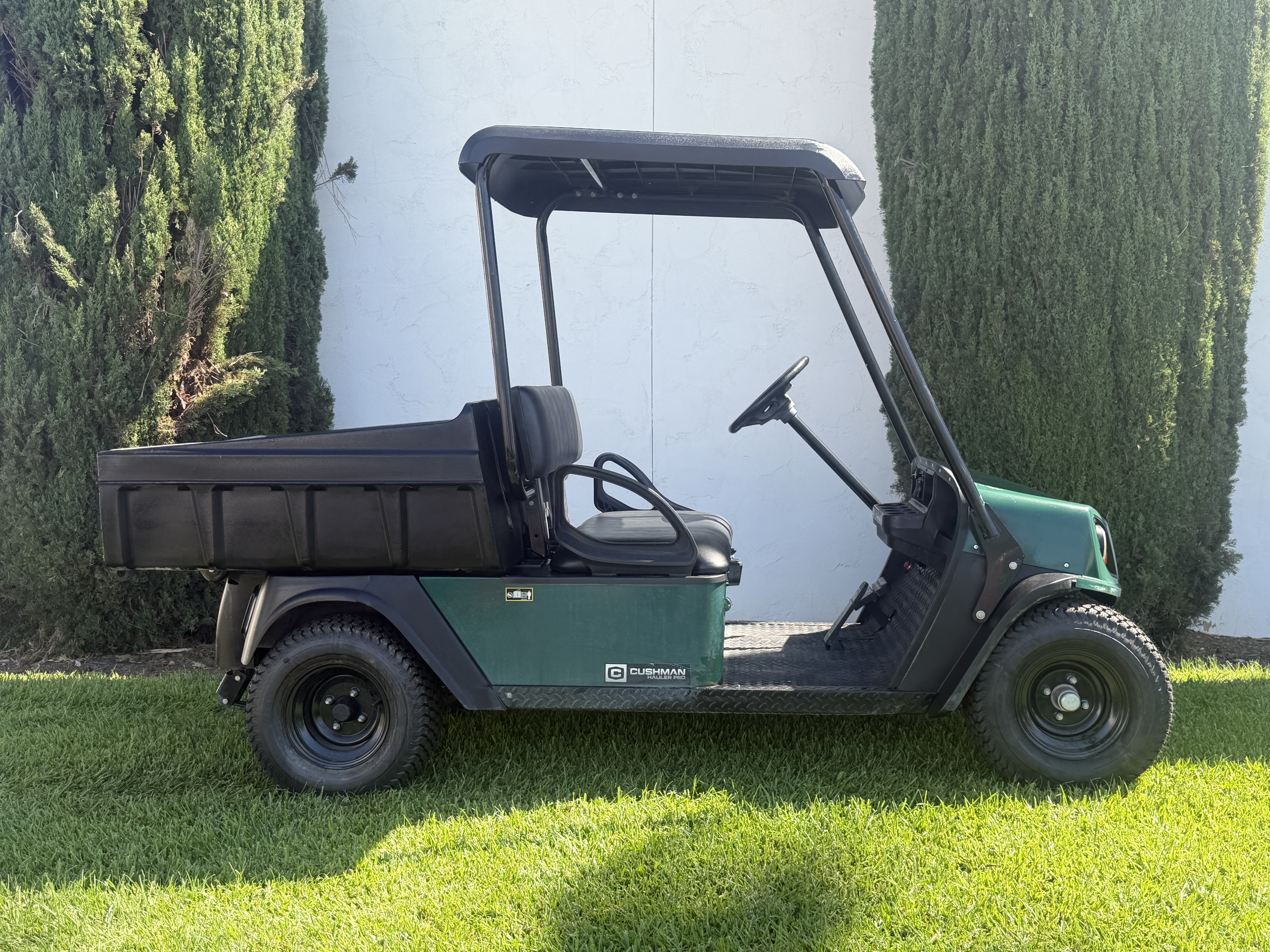 2016 Cushman Hauler PRO Golf Car