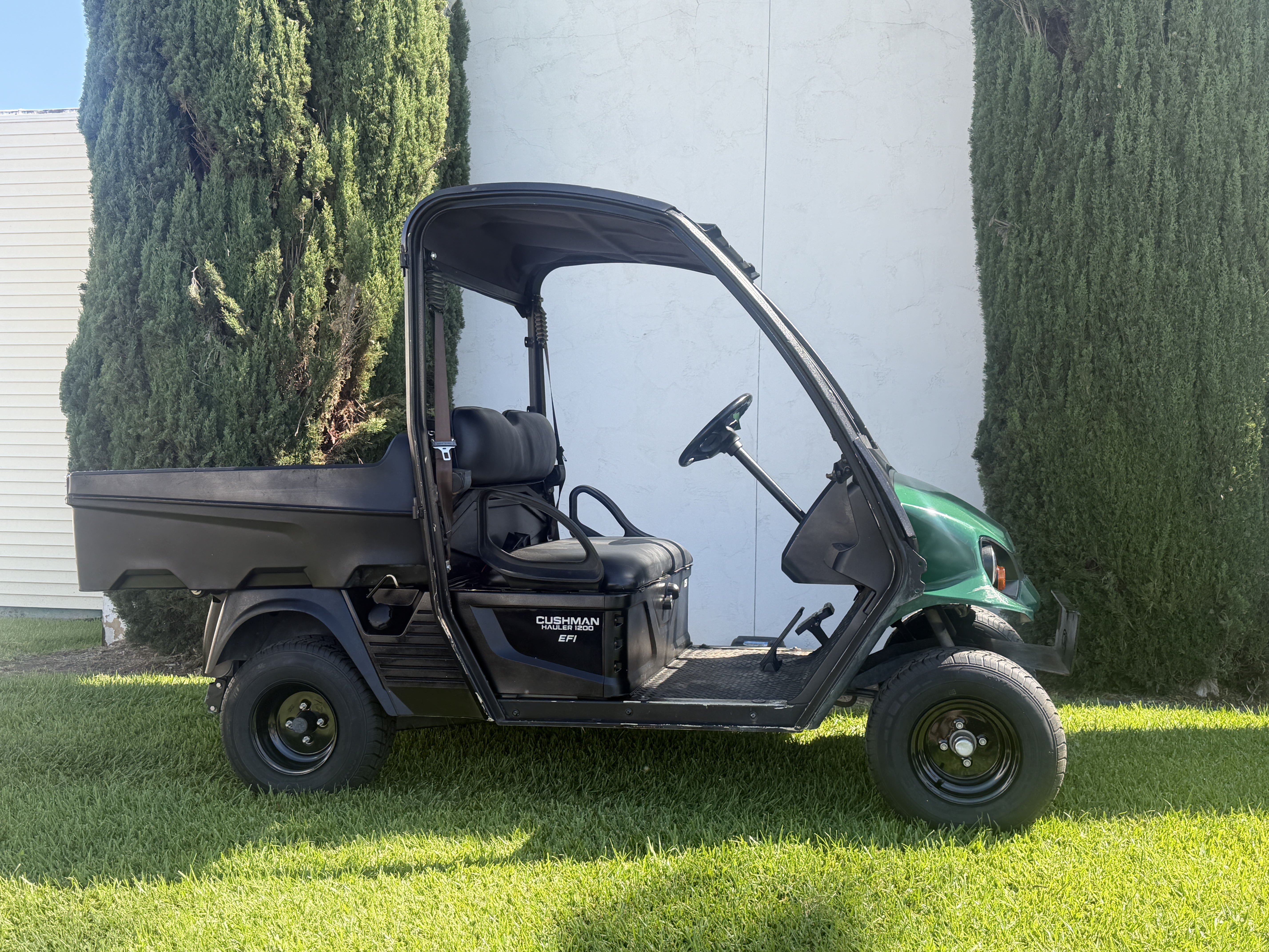 2020 Cushman Hauler 1200 Golf Car - Gas